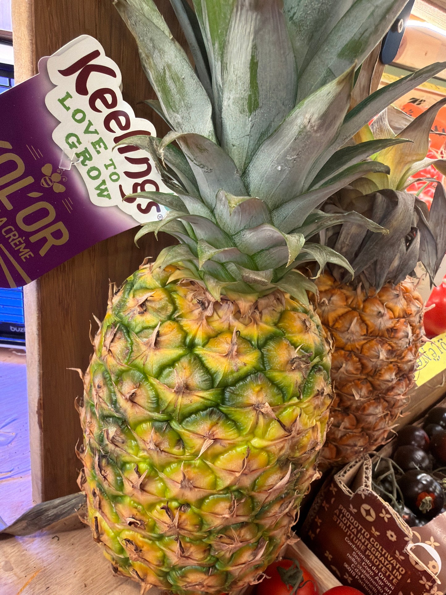 Large Pineapple (Each)