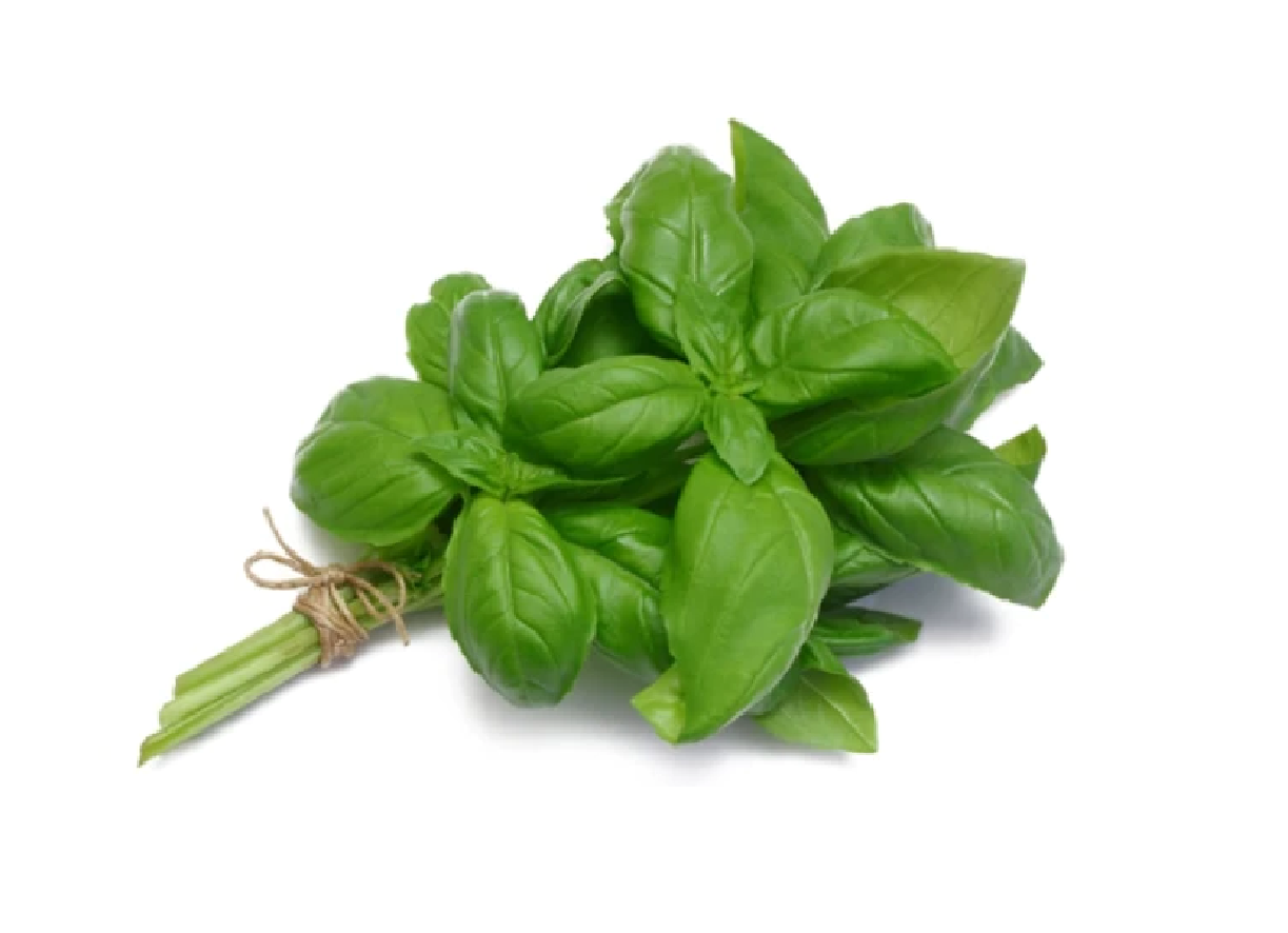 Basil (Pack)