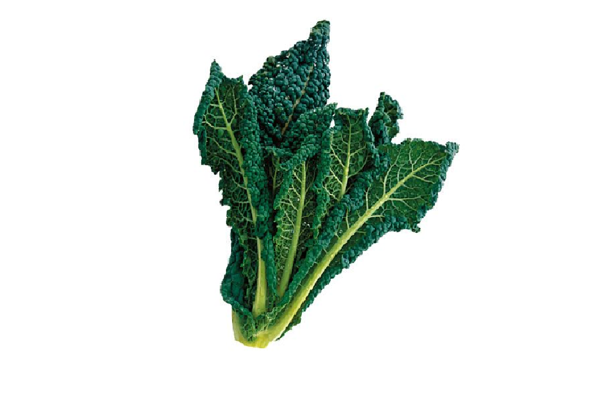 Cavolo Nero (Pack)