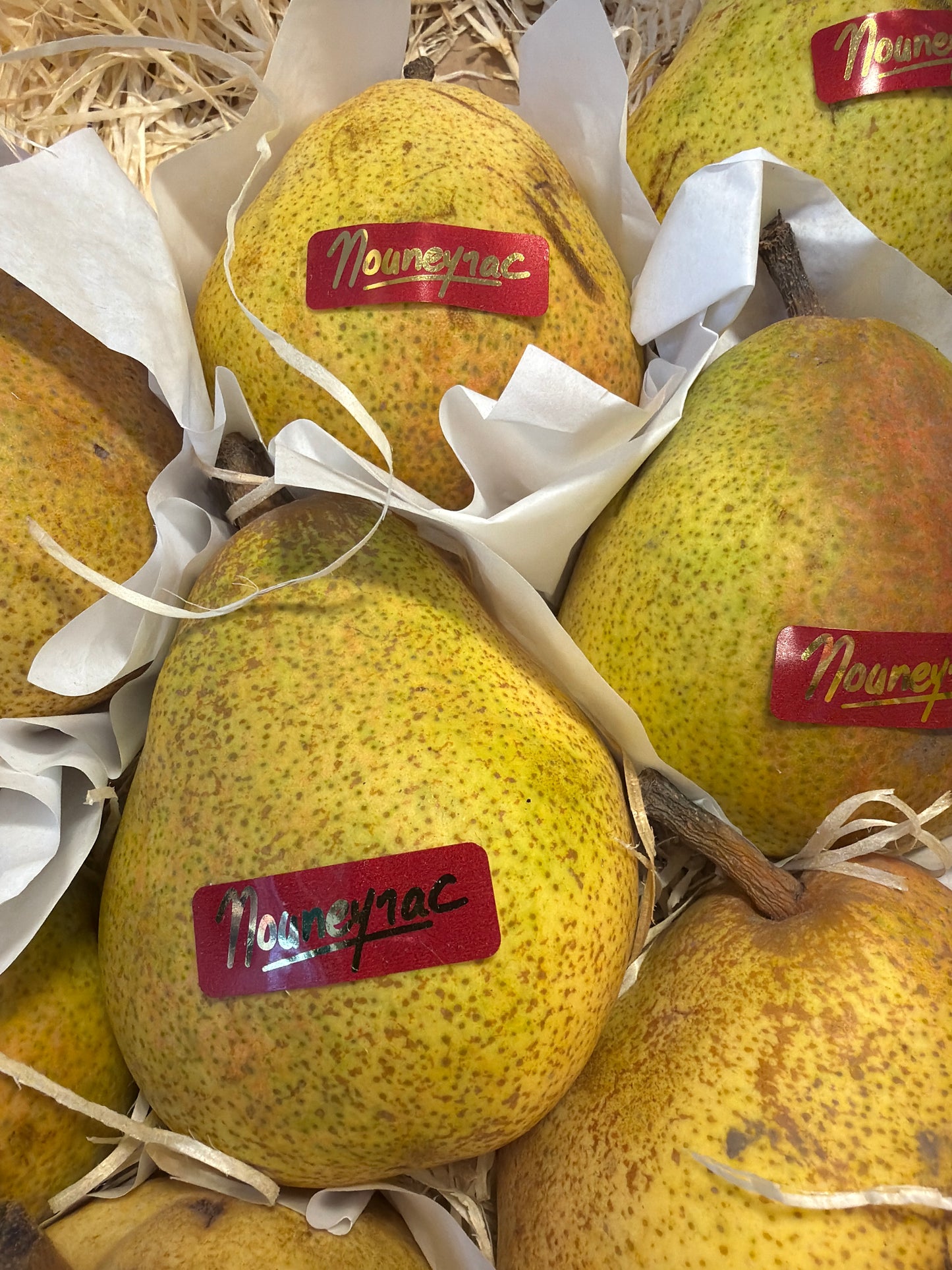 French Comice Pear (500GR)