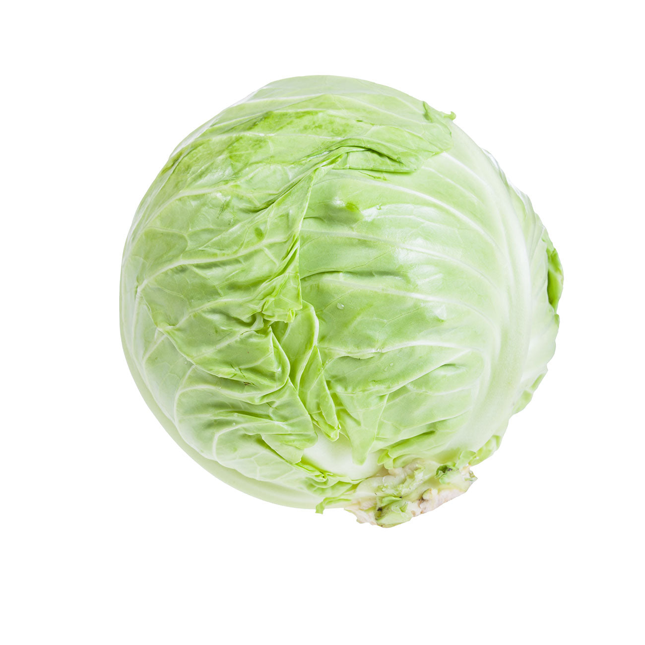 White Cabbage (Each)