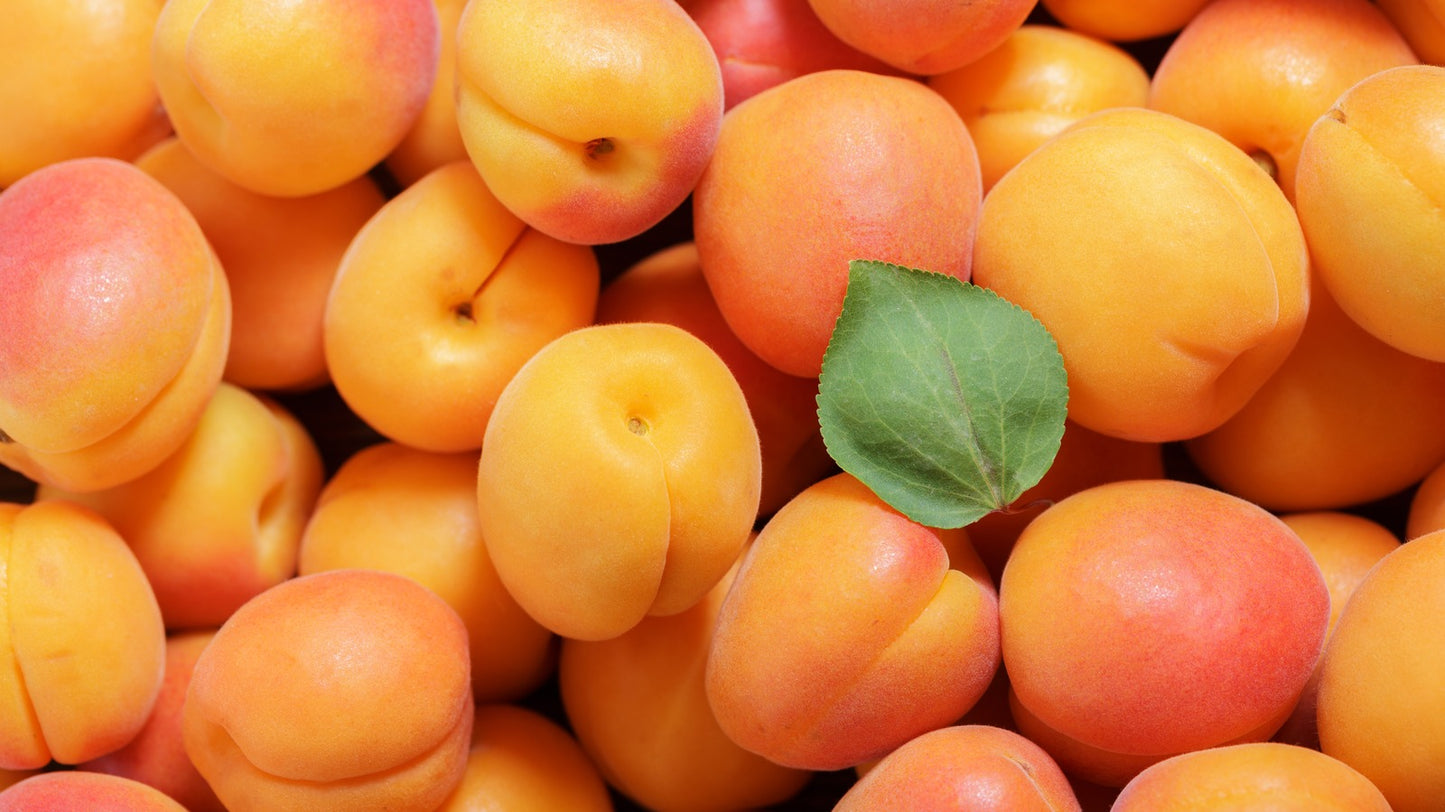 APRICOTS (500GR)