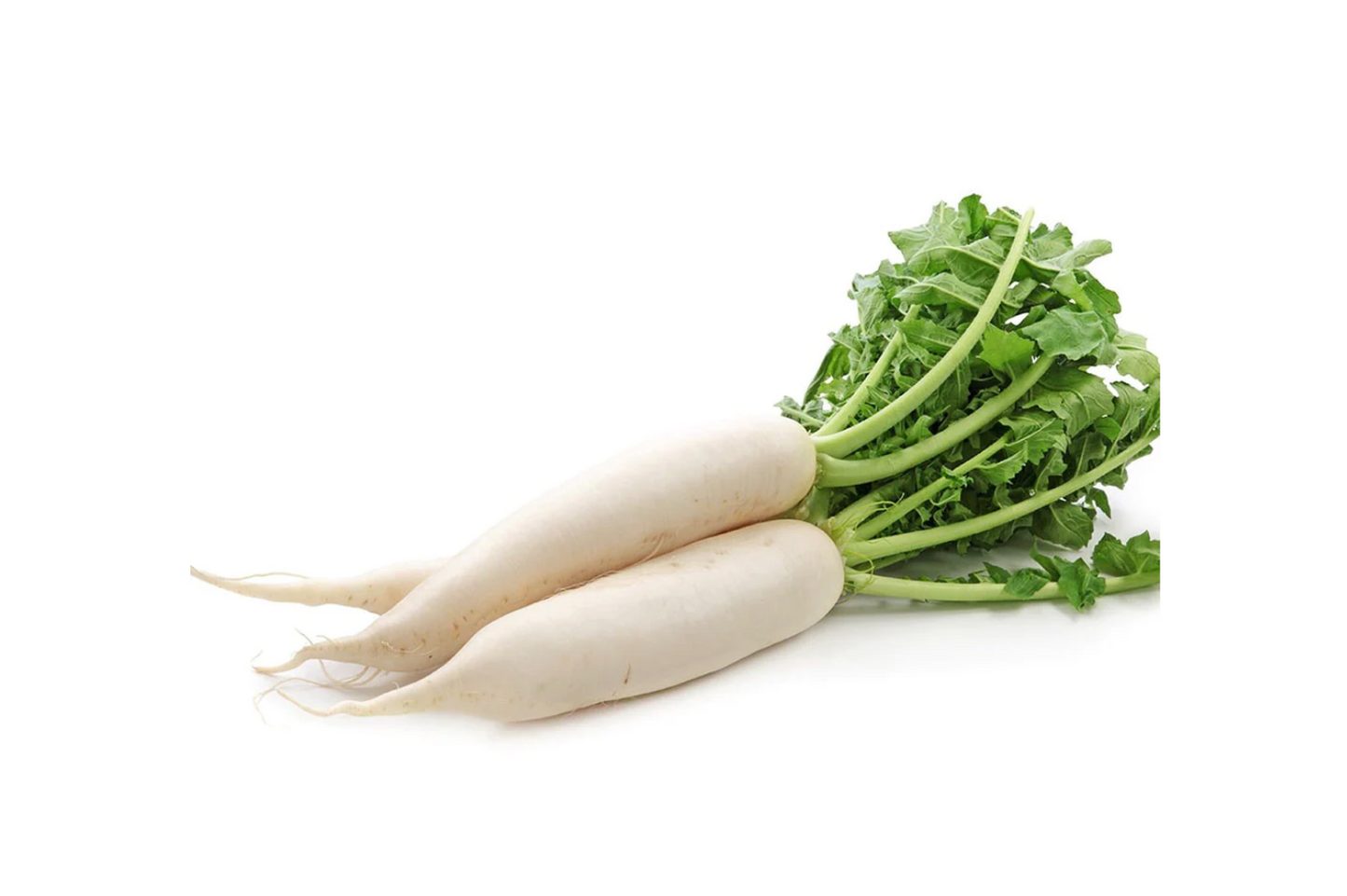 Mooli/Daikon Radish (1KG)