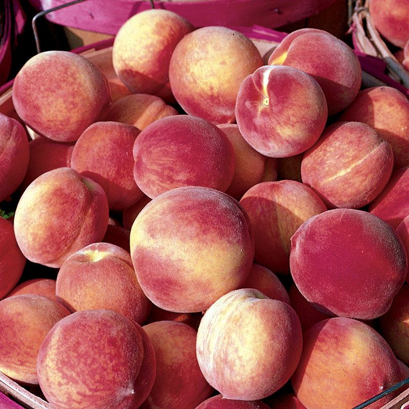 PEACHES (500GR)