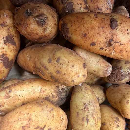 Cyprus Potatoes (1KG)