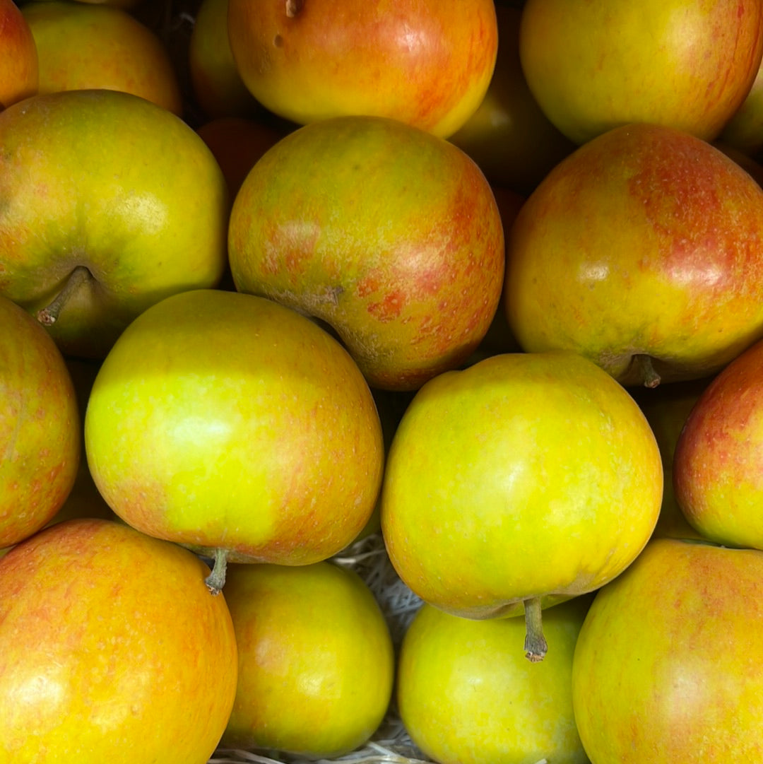 English Cox Apple (1KG)