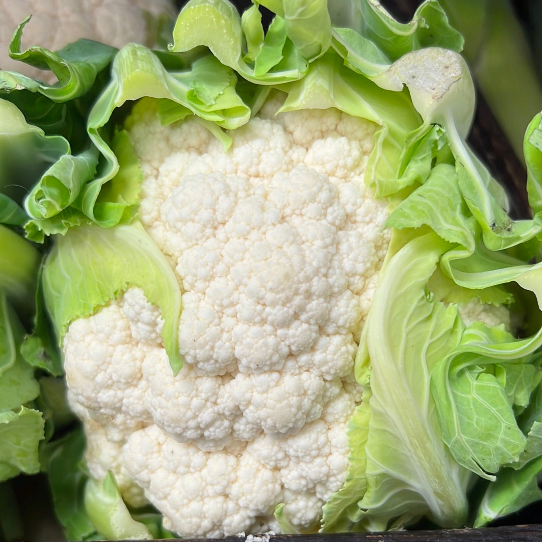 Cauliflower (Each)