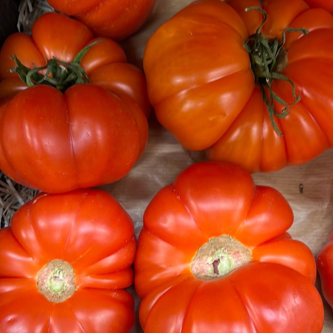 Beef Tomatoes (500GR)