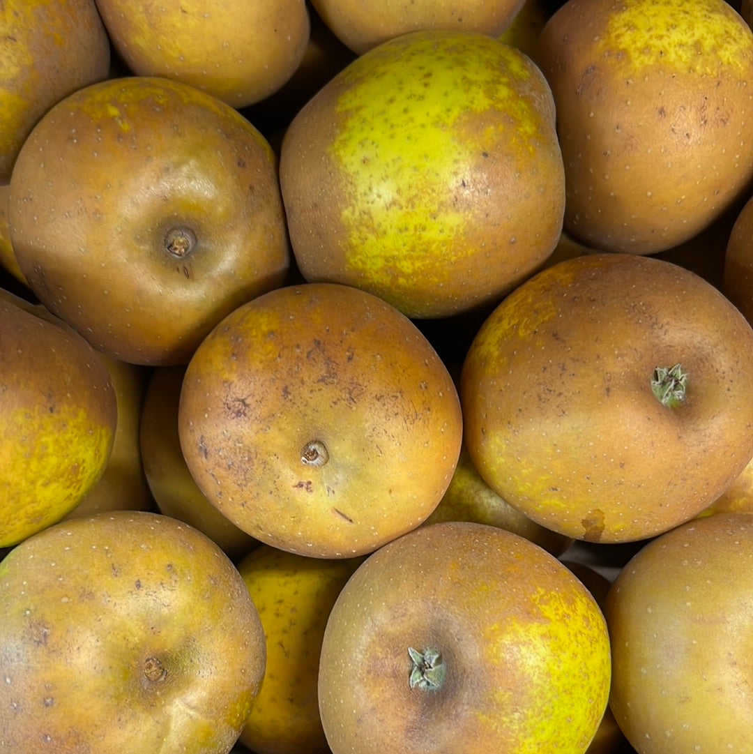 English Russet Apple (1KG)