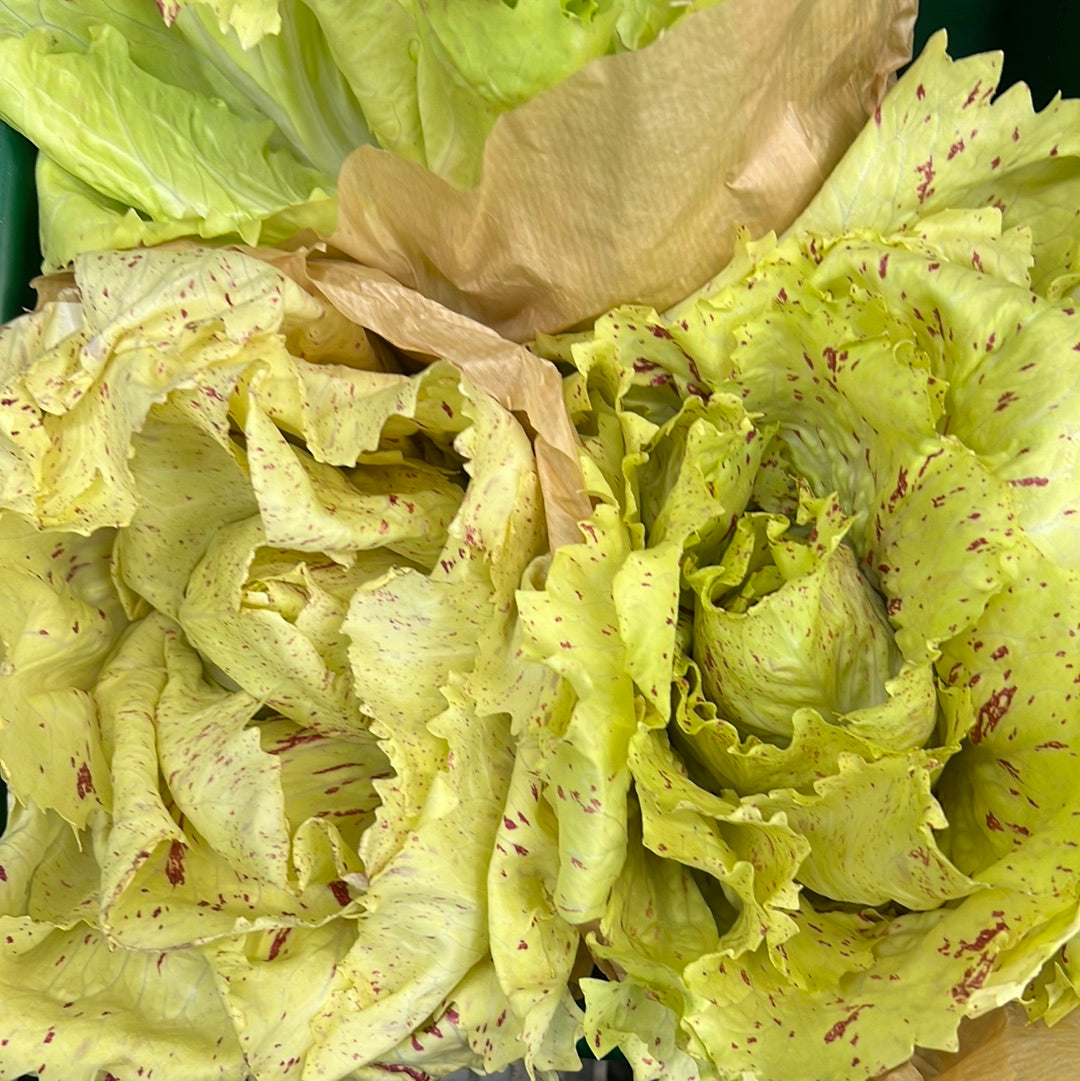 Italian Castel Franco Salad (Each)