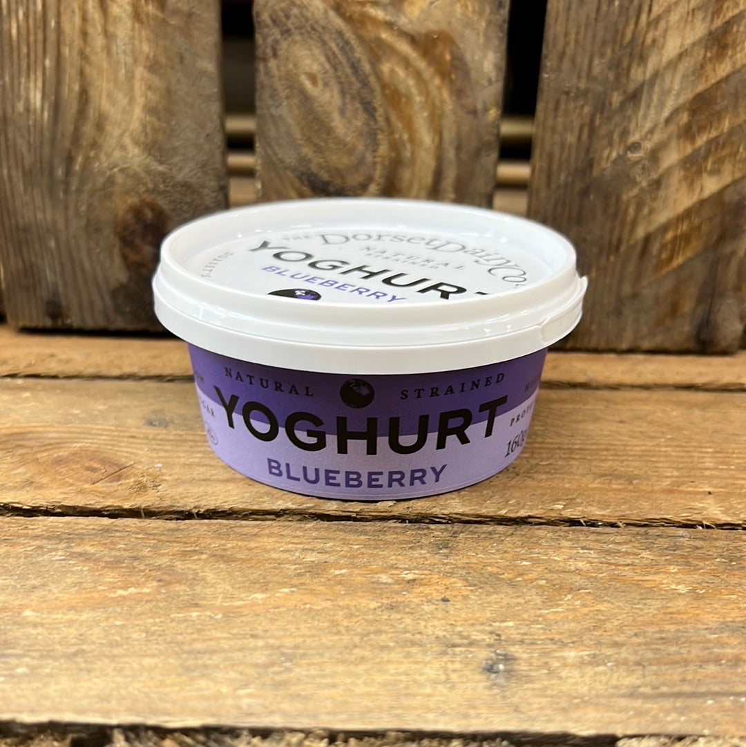THE DORSET DAIRY CO BLUEBERRY YOGHURT (160GR)