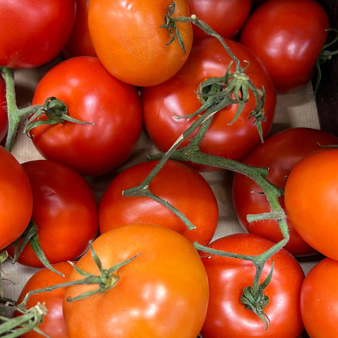 Vine Tomatoes (500GR)