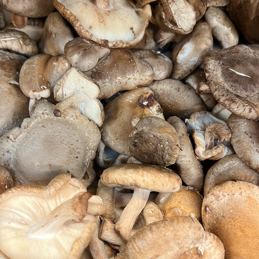 Shitakee Mushrooms (250GR)
