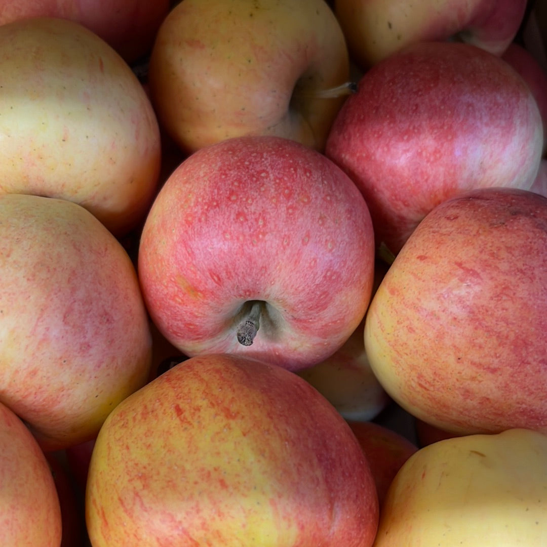 Organic English Apple (1KG)
