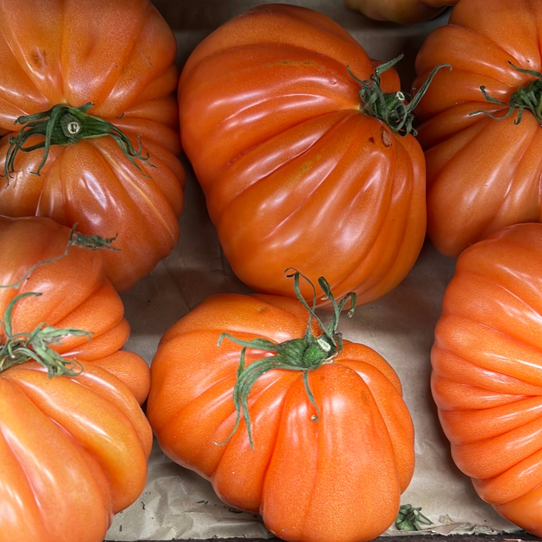 Bull's Heart Tomatoes (500GR)