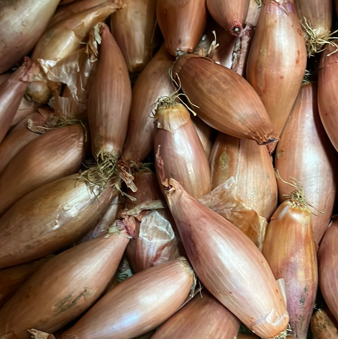 Banana Shallots Onion (500GR)