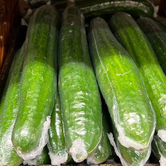 Long Cucumber (Each)