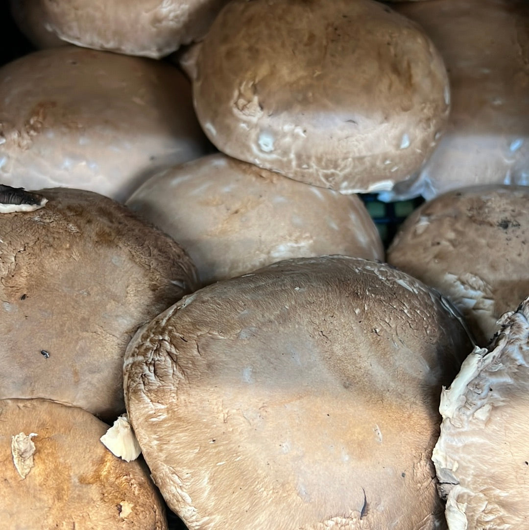 Portobello Mushroom (500GR)