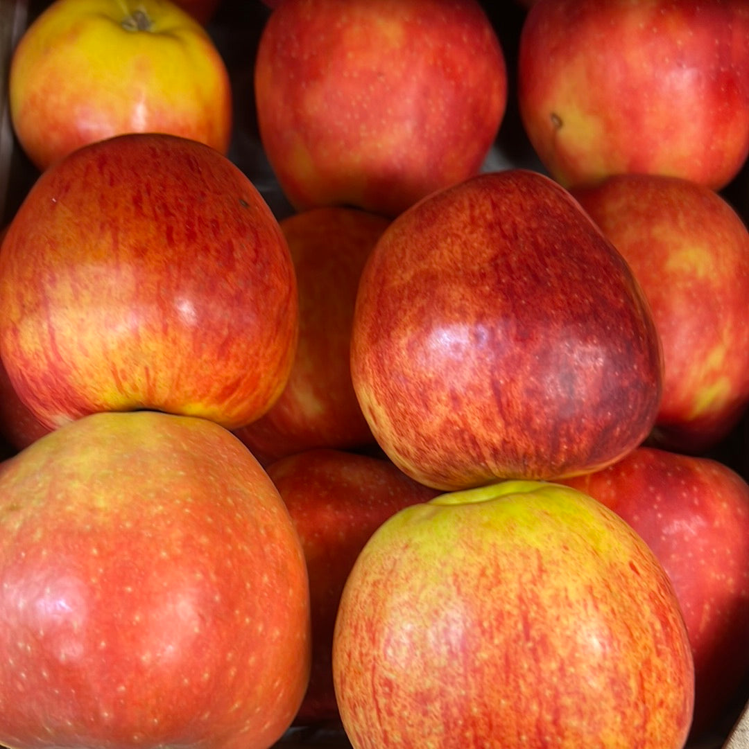 Jonagold Apple (1KG)