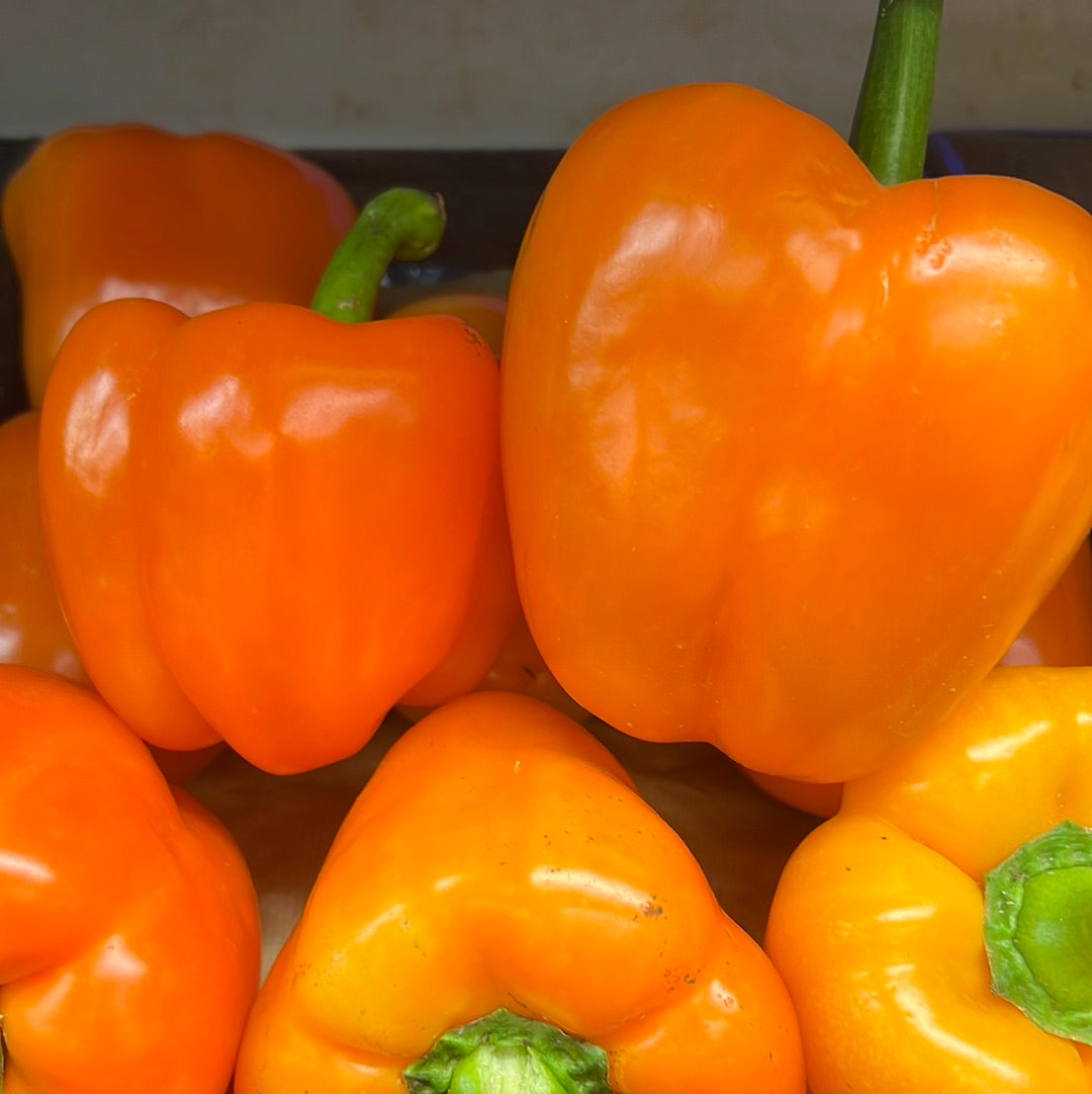 Orange Bell Pepper (Each)
