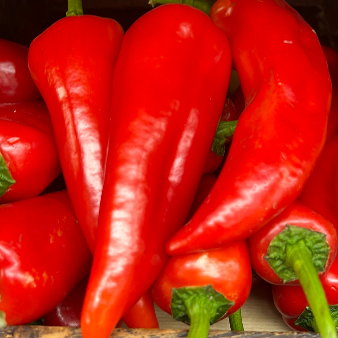 Red Sweet Long Peppers (500GR)