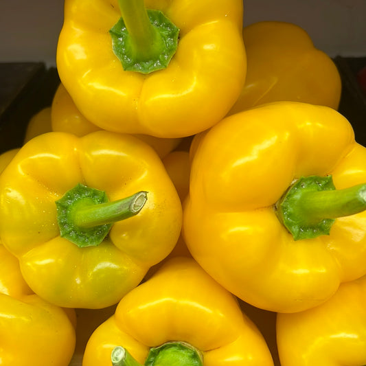 Yellow Bell Pepper (Each)