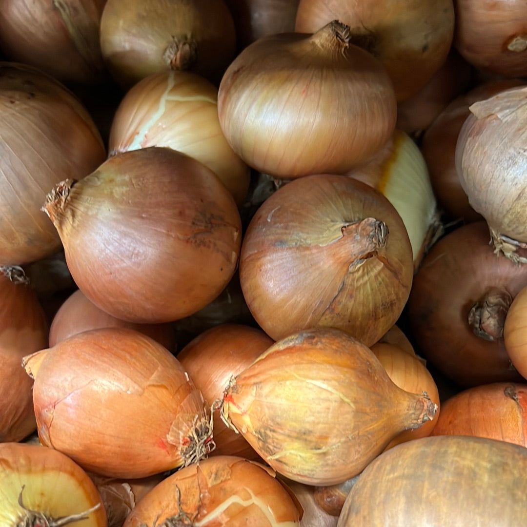 Organic Golden Onion (500GR)