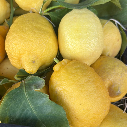 Italian Un-waxed Lemon (500GR)