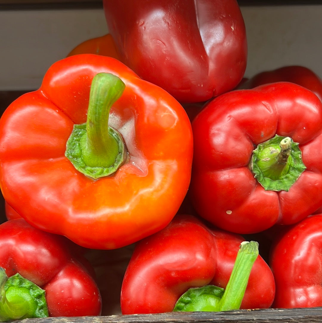 Red Bell Pepper (Each)
