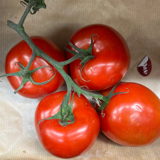 Plum Vine Tomatoes (500GR)
