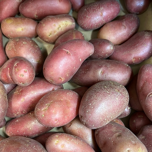 Red Ratte Potatoes (1KG)