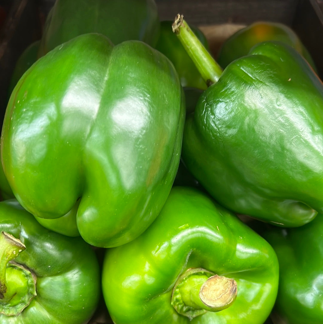 Green Bell Pepper (Each)