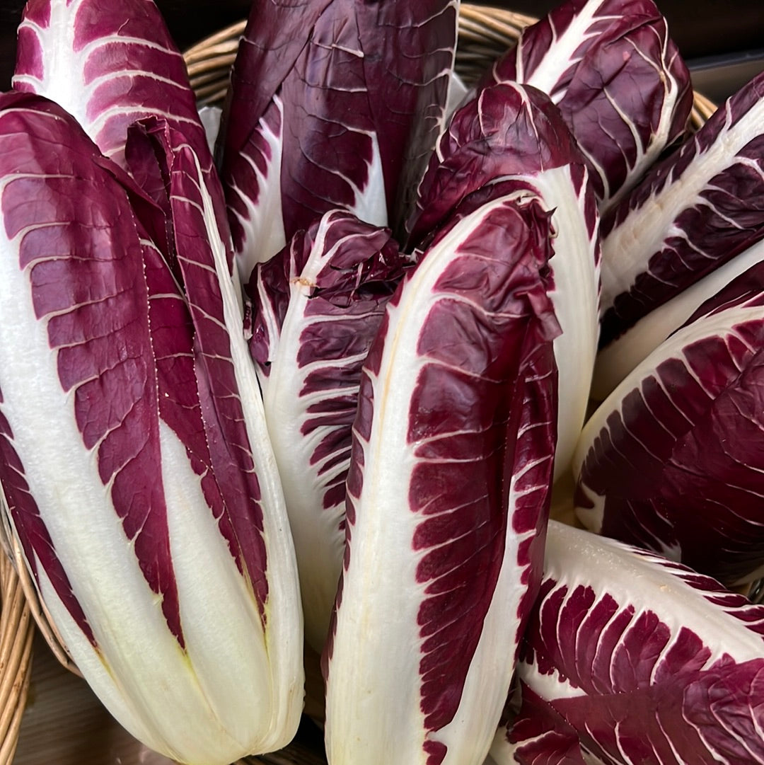 Italian Treviso (500GR)