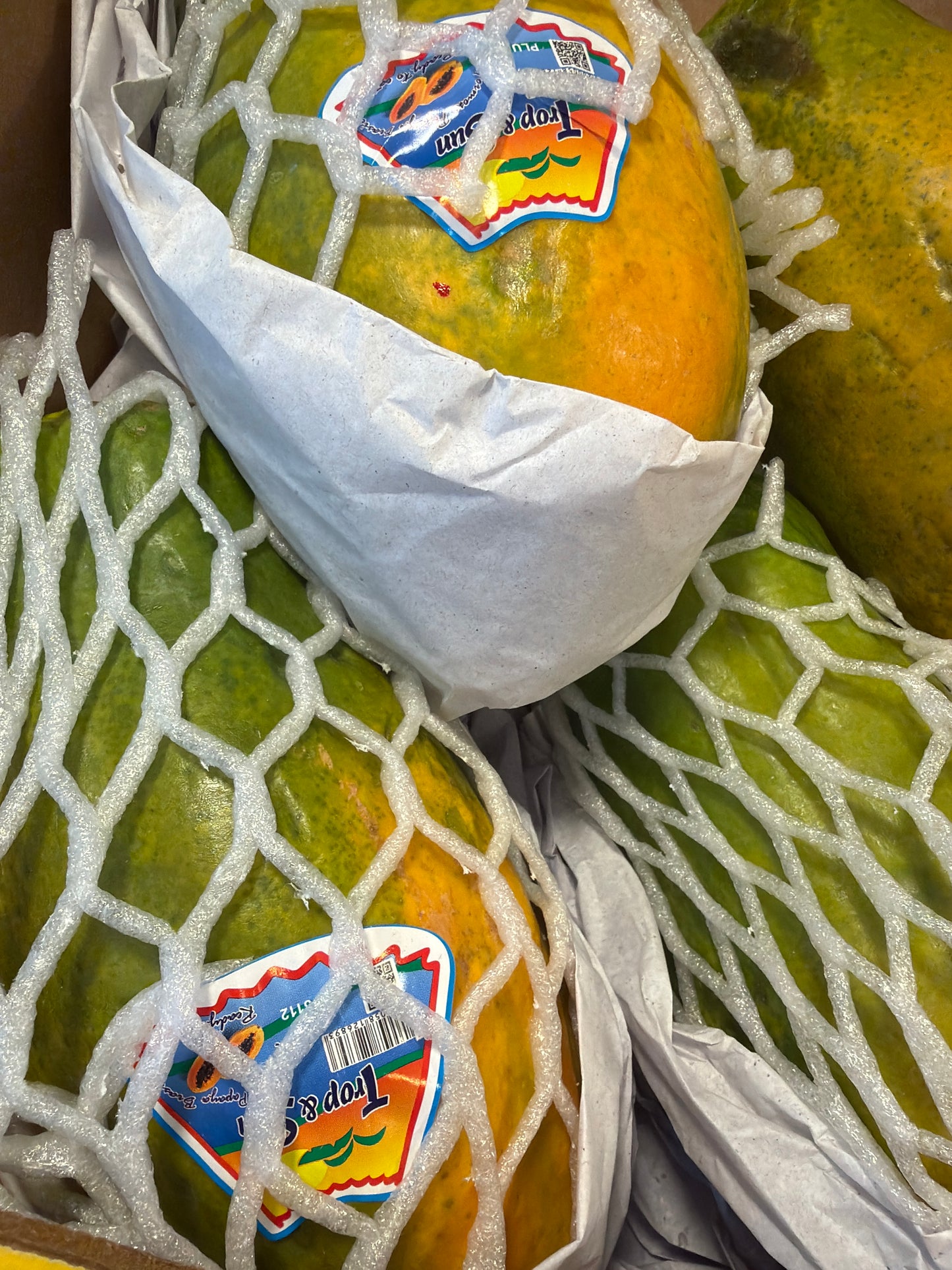 Large Papaya (Each)