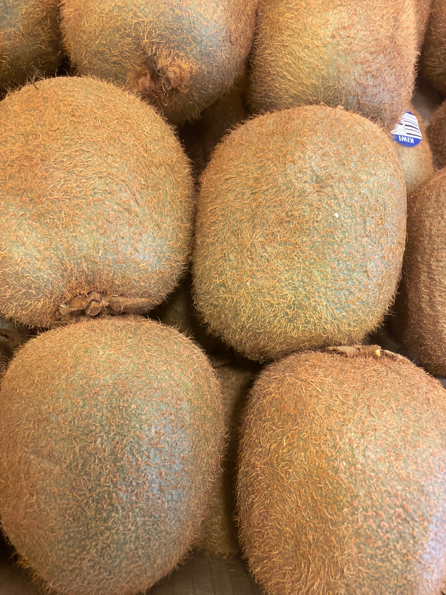 Italian Green Kiwi (Each)
