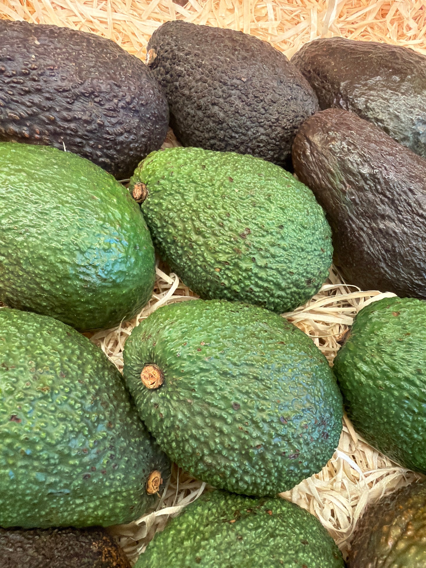 Organic Avocado (Each)