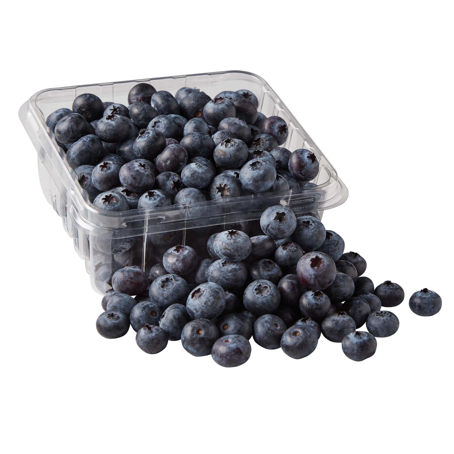 Blueberry Punnet