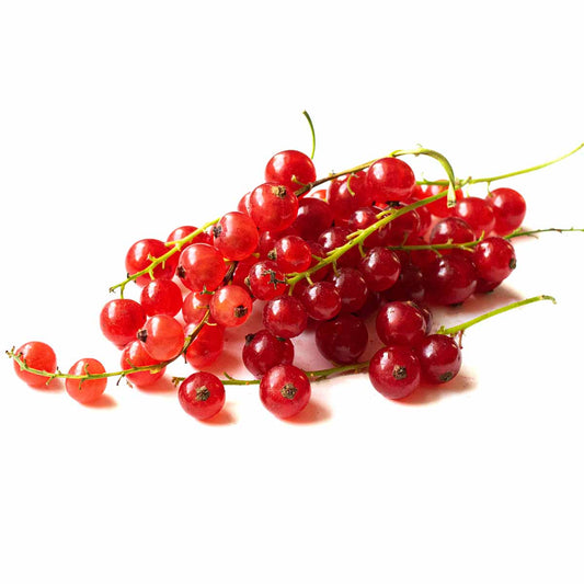 Red Currant Punnet
