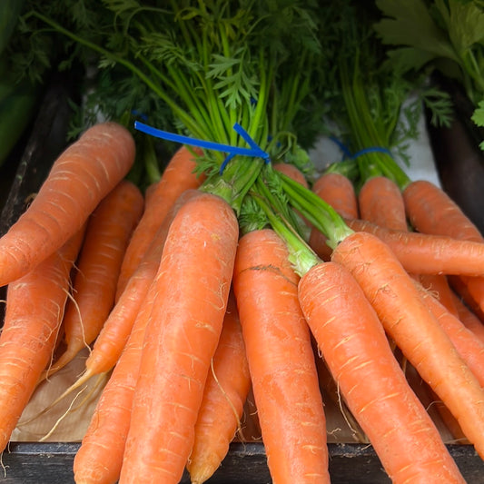 Bunch Carrots (Each)
