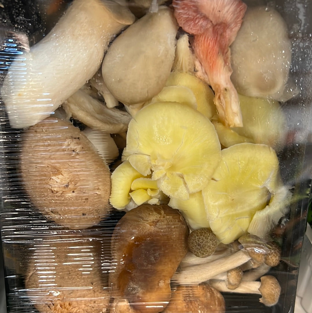 Exotic Wild Mushroom Selection (Pack)