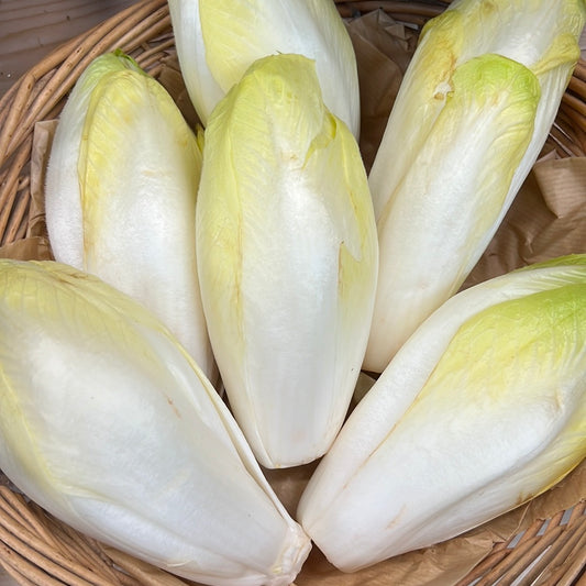White Chicory (500GR)