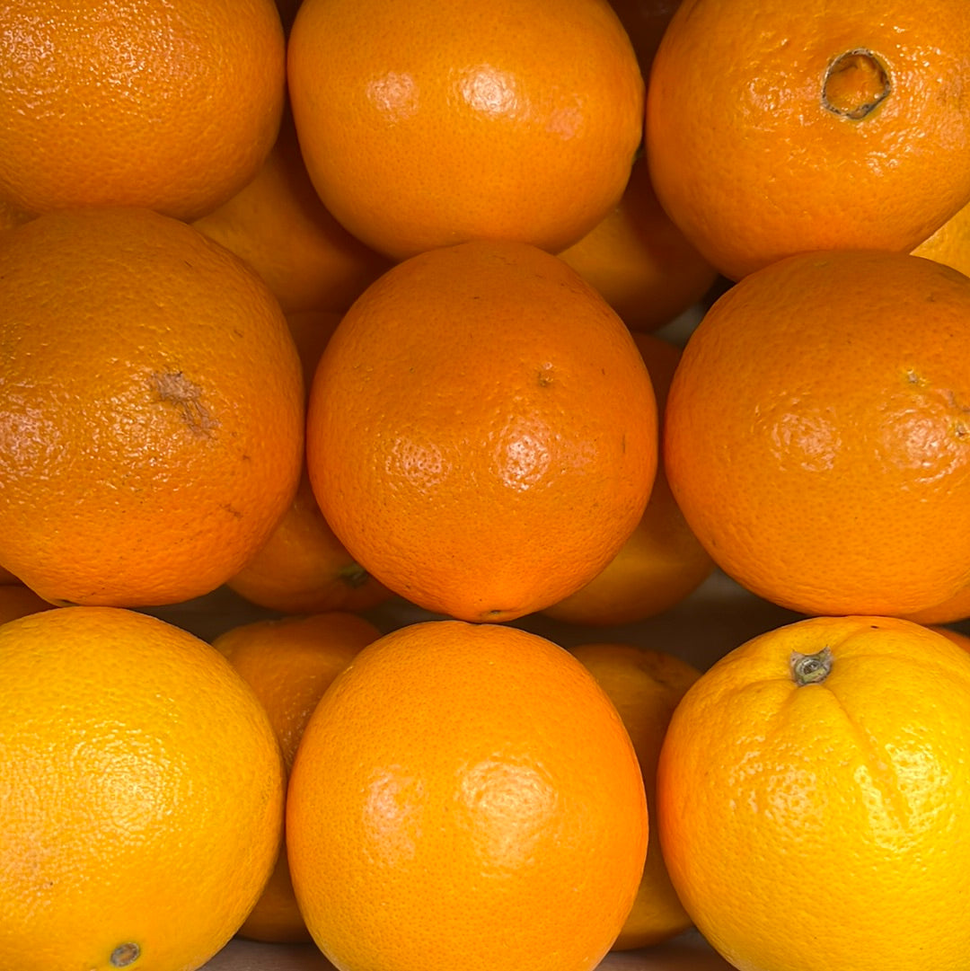 Juicing Orange (Each)