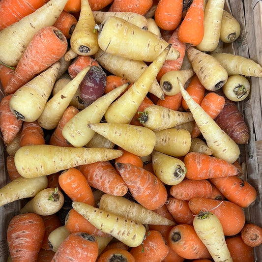 Chantenay Mix Little Carrots (1KG)