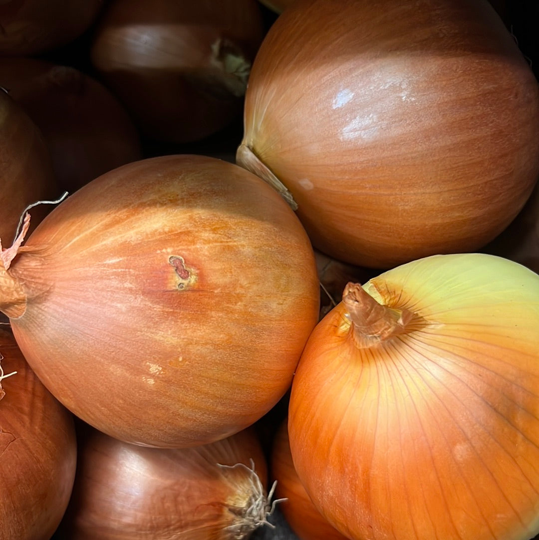 Spanish Onion (1KG)