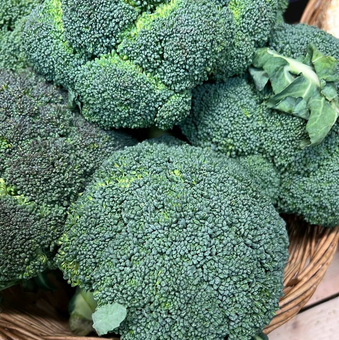 Organic Broccoli (500GR)