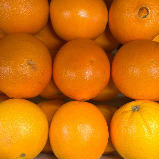 Juicing Orange (Each)