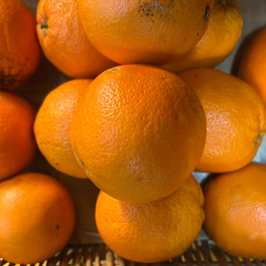 Organic Orange (500GR)