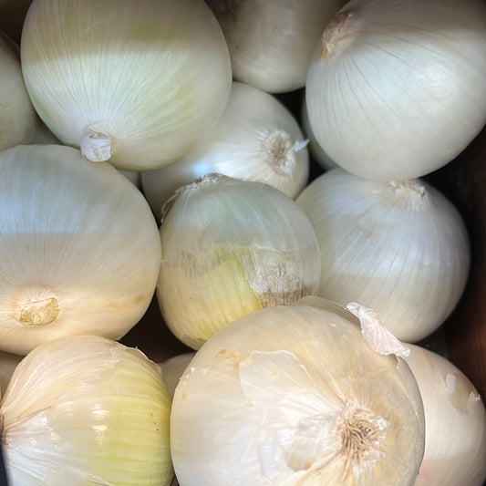 White Onion (1KG)