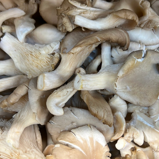 Oyster Mushrooms (500GR)