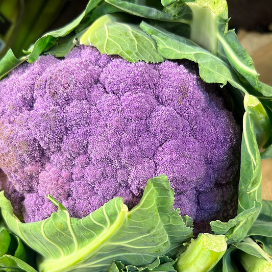 Purple Cauliflower (Each)